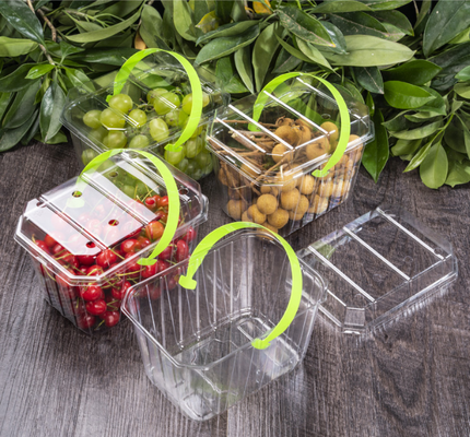 Cajas para frutas, bandejas para frutas, cajas para empaque de carne, cajas para empaque de vegetales, cajas para comida rápida, así como cajas transparentes de PVC, PP, PET y cajas impresas.