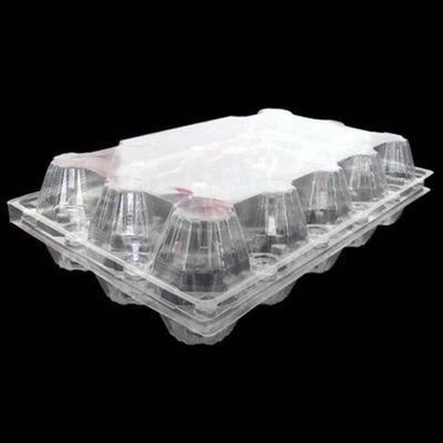 huevo cuadrado disponible Tray Holder de la bandeja 71m m del huevo del plástico transparente del ANIMAL DOMÉSTICO 15packs