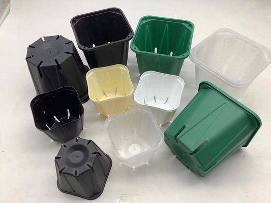 Rasgón ligero de la orquídea del pote cuadrado fuerte del almácigo resistente